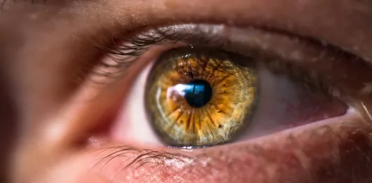 a close view of a light brown eye.